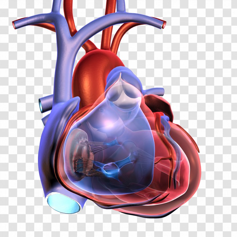 Cardiac Arrest Heart Health Cardiopulmonary Resuscitation Myocardial Infarction - Silhouette - Attack Transparent PNG