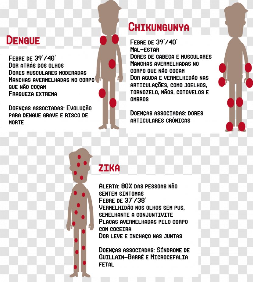Yellow Fever Mosquito Dengue Zika Virus Chikungunya Infection - Watercolor Transparent PNG