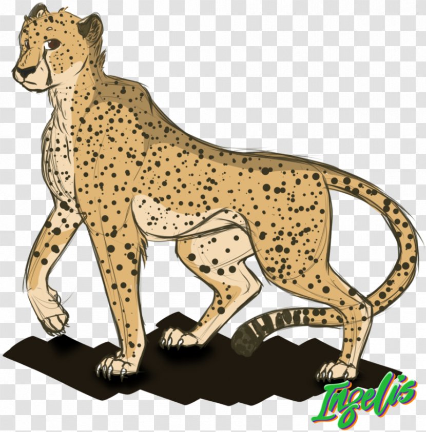 Cat Cheetah Felidae Leopard Lion - Mammal Transparent PNG