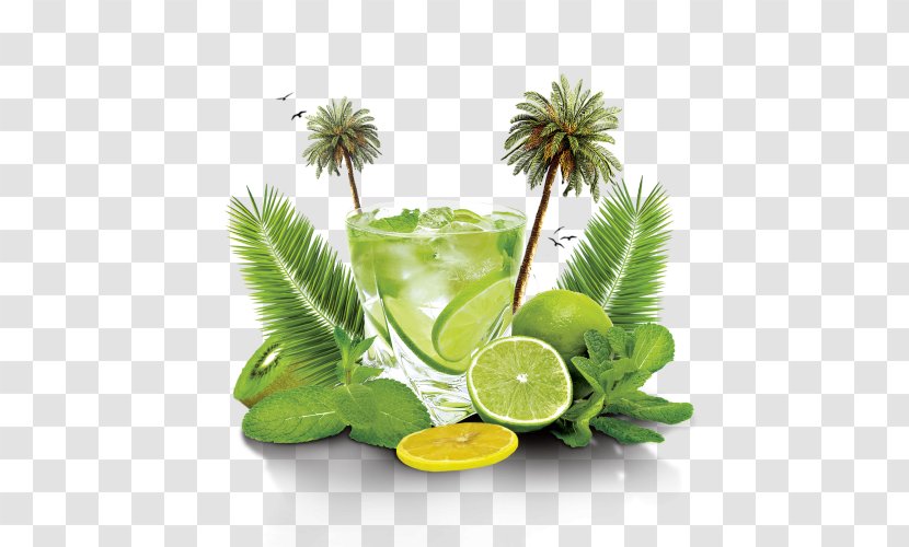 Palm Tree Background - Lime Juice - Citrus Transparent PNG