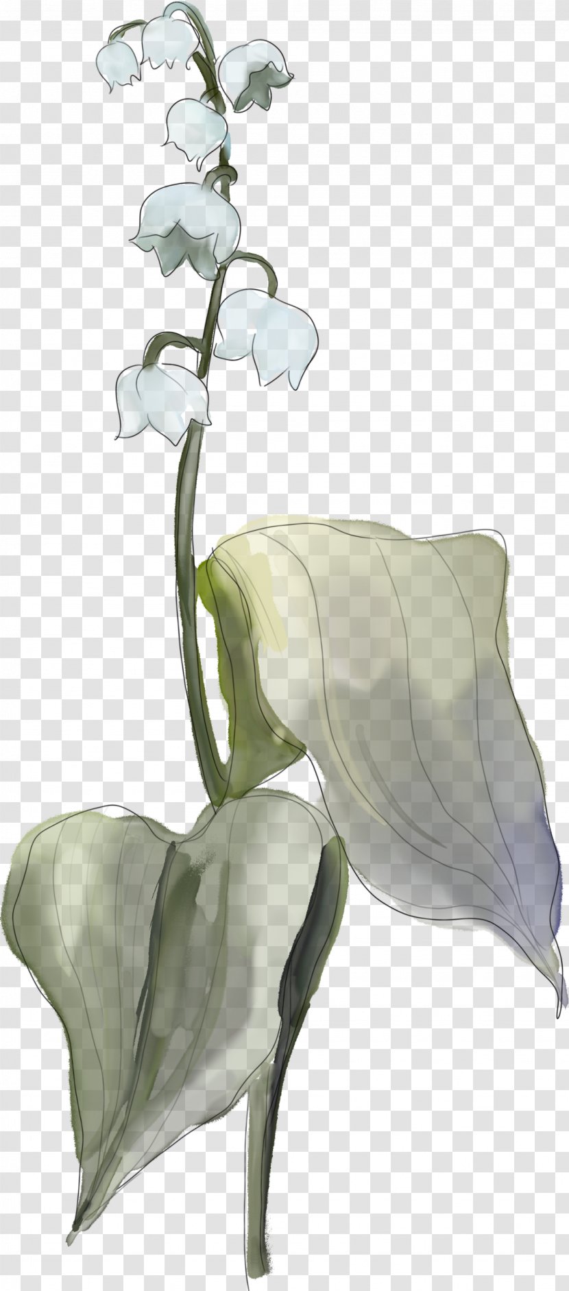 Flower Floral Design Arum Lilies - Photography Transparent PNG