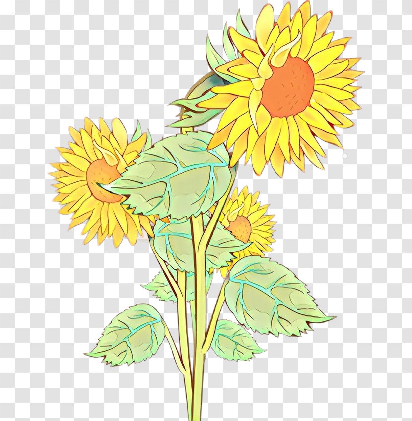 Sunflower - Yellow - Cut Flowers Dandelion Transparent PNG