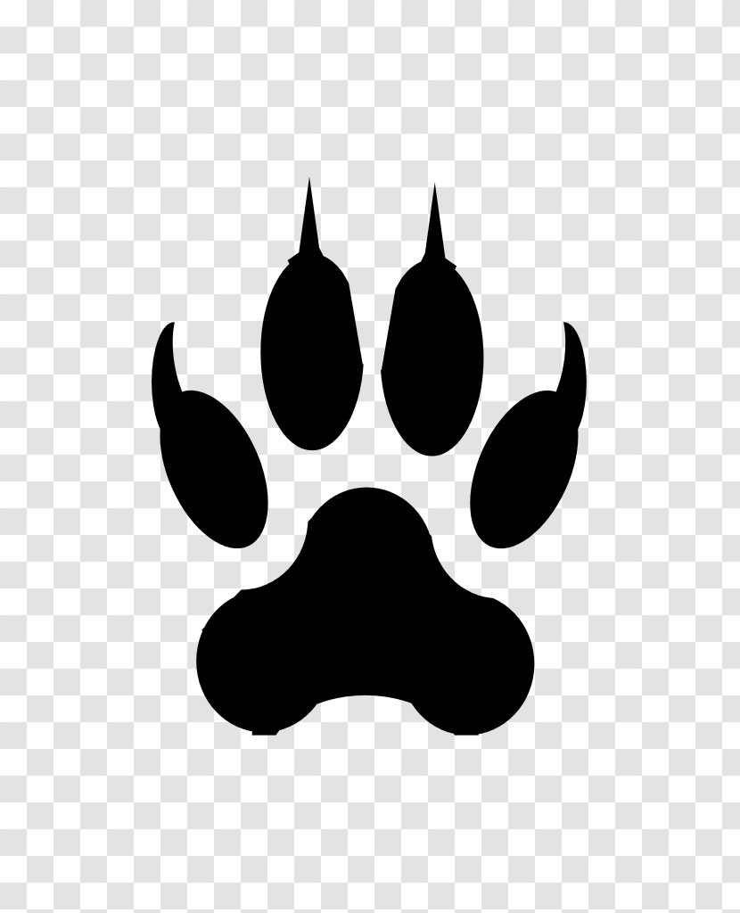 Cat Dog Paw Claw Bear - Pet - Footprint Vector Transparent PNG