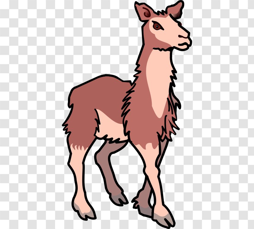 Llama Alpaca Clip Art - Blog - Cliparts Transparent PNG