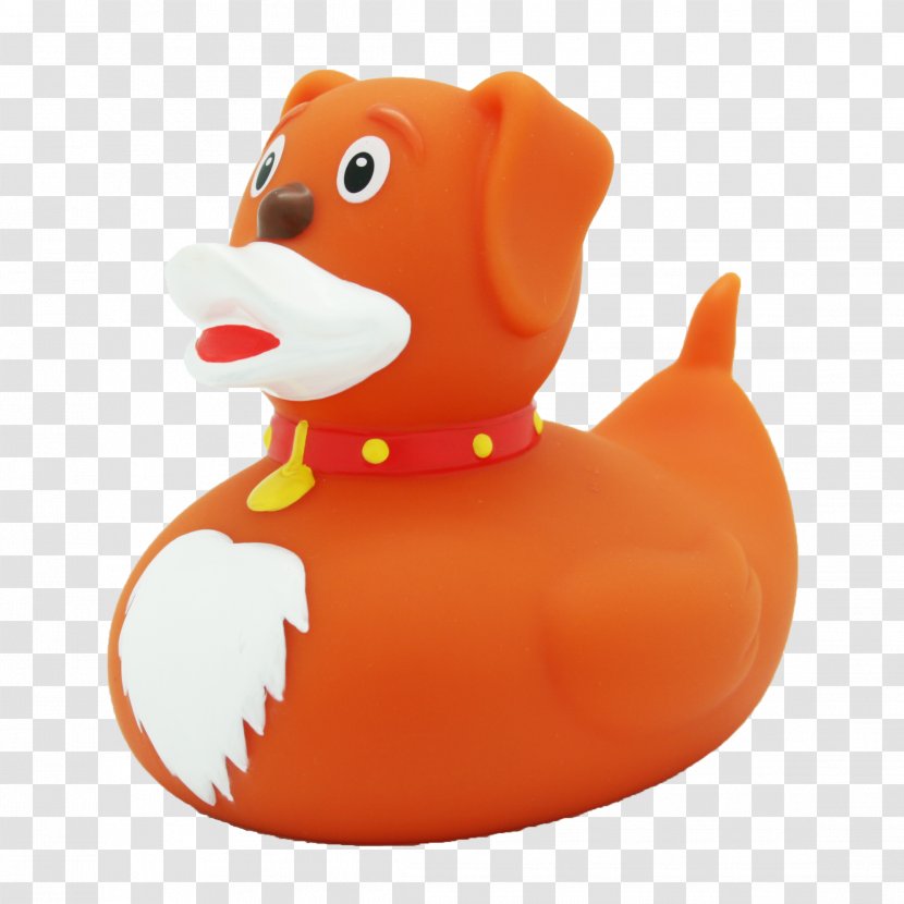 Rubber Duck Toy Natural Bathtub Transparent PNG