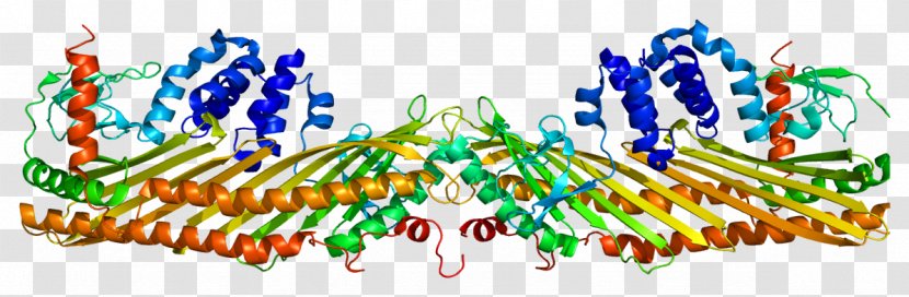 F-actin Capping Protein CAPZB - Watercolor - Heart Transparent PNG