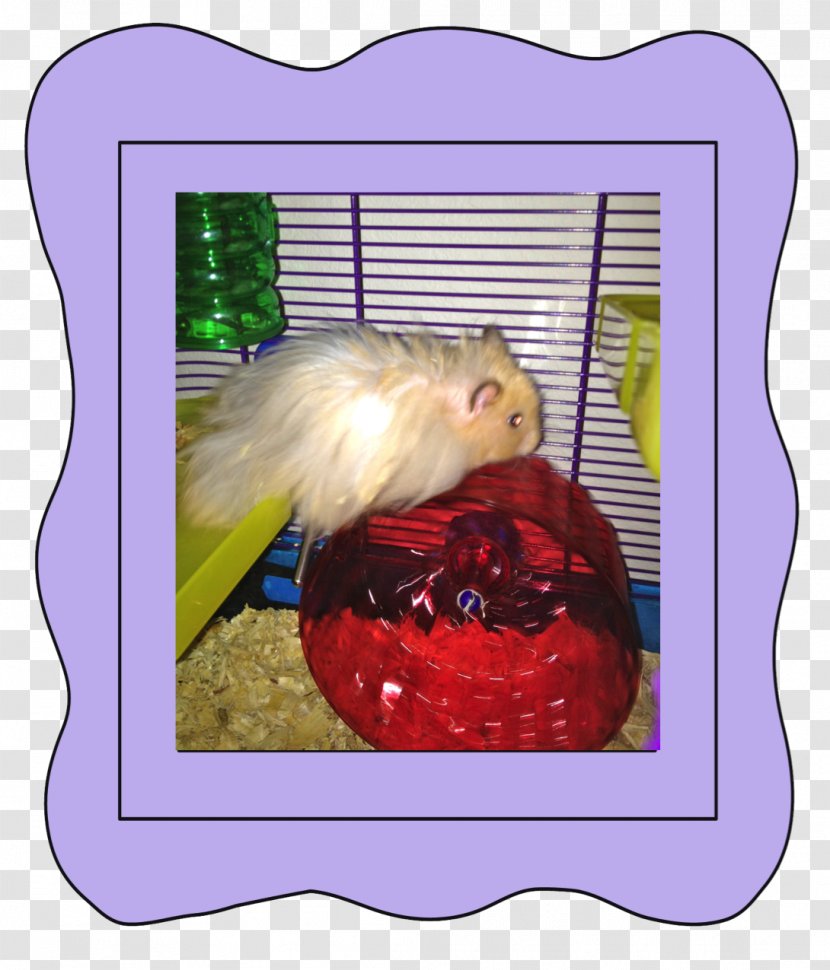 Picture Frames - Hamster Cage Transparent PNG