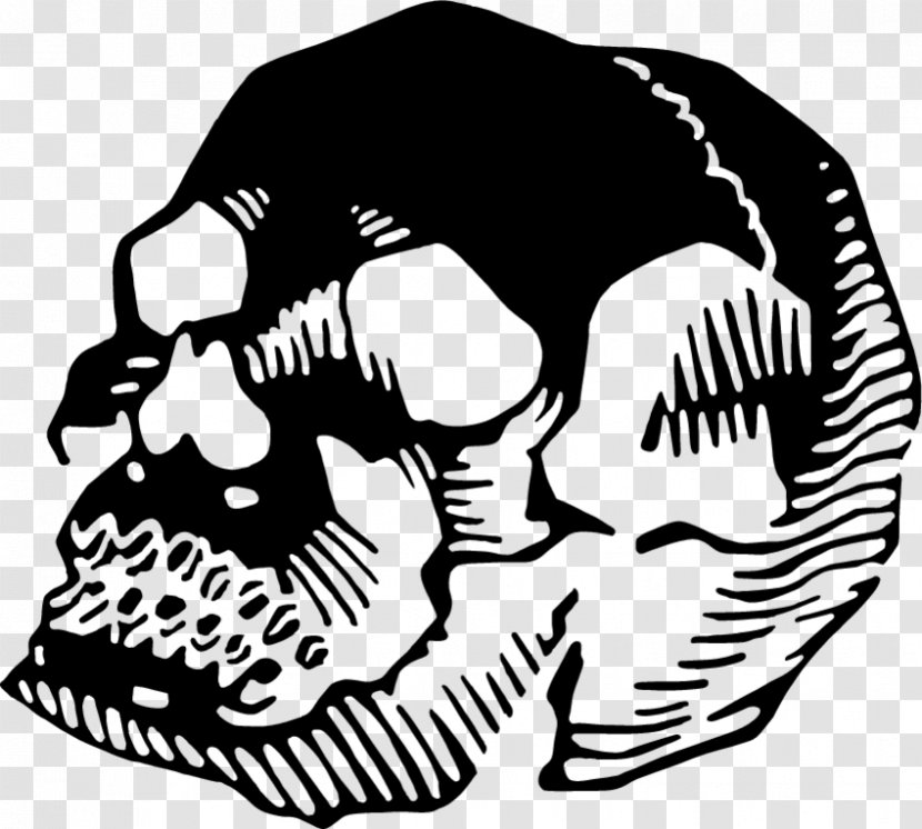 Jaw Human Behavior Line Art Animal Clip - Headgear - Skull Transparent PNG
