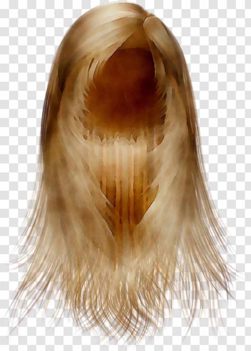 Blond Wig Fur Long Hair - Feather - Hairstyle Transparent PNG