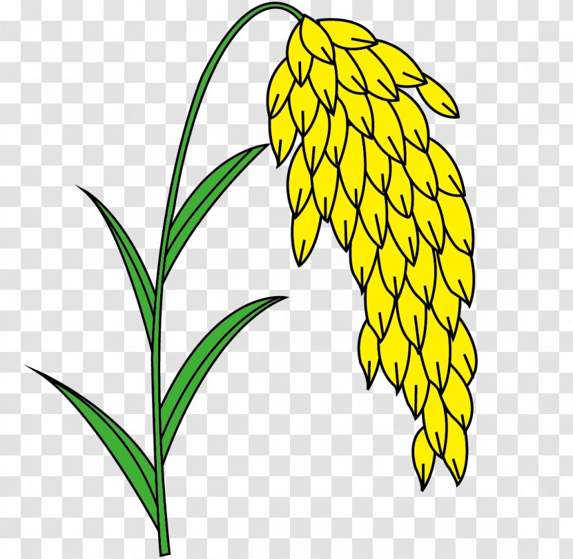 Euclidean Vector Yellow Wheat - Flower Transparent PNG