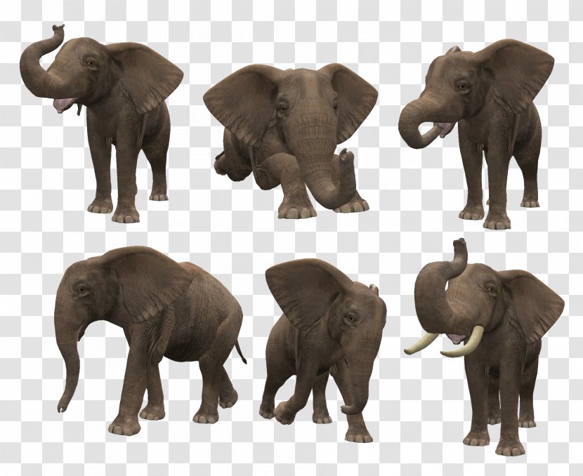 Elephant Computer File - Render Transparent PNG