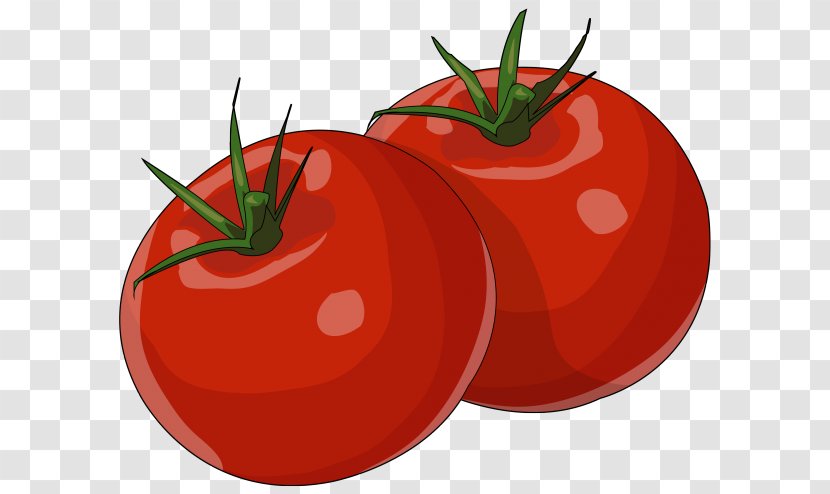 Plum Tomato Bush Pizza Drawing Food - Nightshade Family Transparent PNG