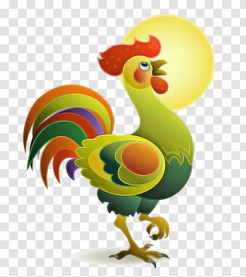 Chicken Rooster Bird Livestock Poultry Transparent PNG