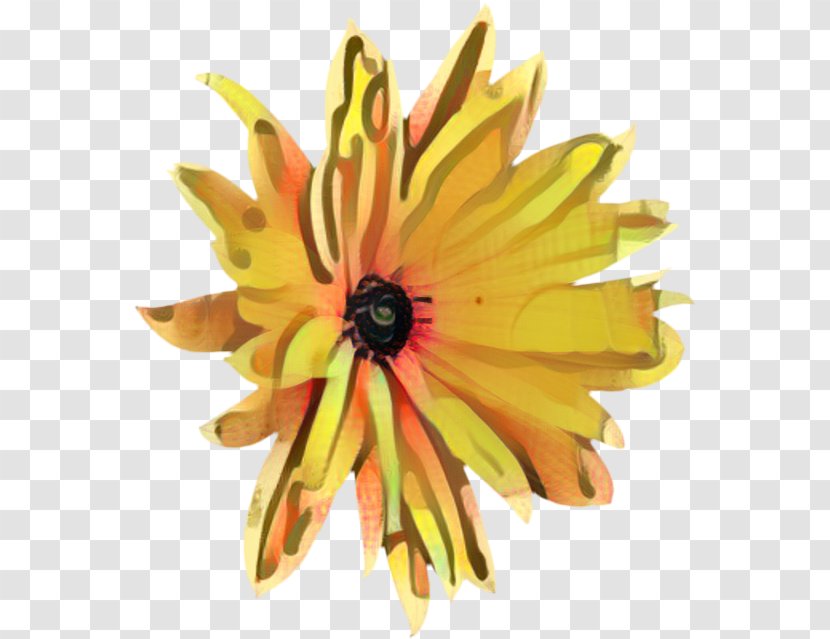Flowers Background - Blume - Wildflower Blackeyed Susan Transparent PNG
