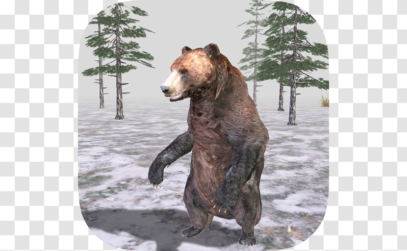 Grizzly Bear Alaska Peninsula Brown Terrestrial Animal Wildlife Transparent PNG