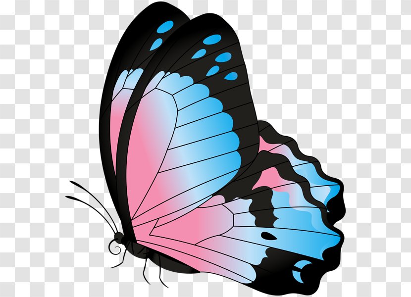 Monarch Butterfly Clip Art - Moths And Butterflies Transparent PNG