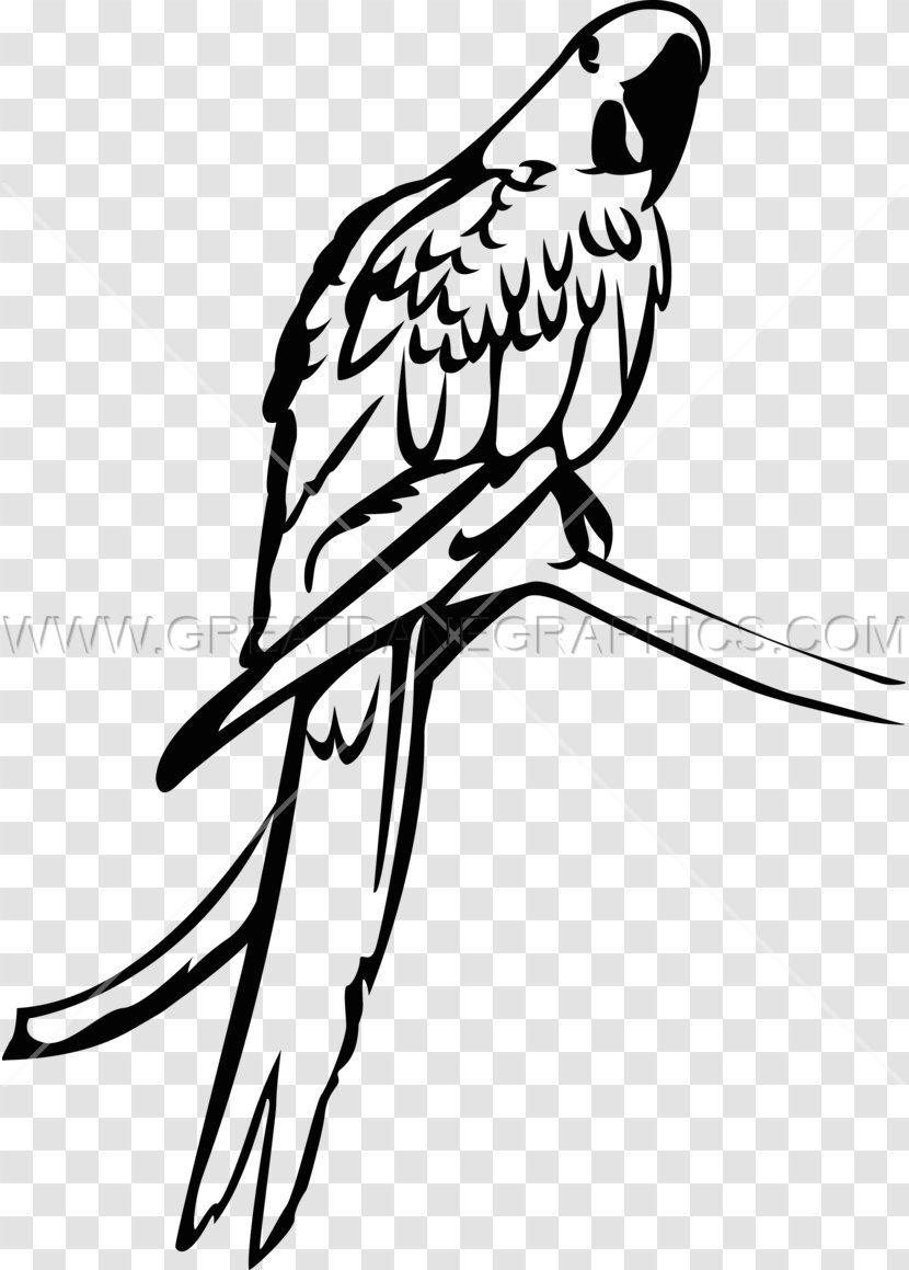 Macaw Parrot Parakeet Bird Clip Art Transparent PNG