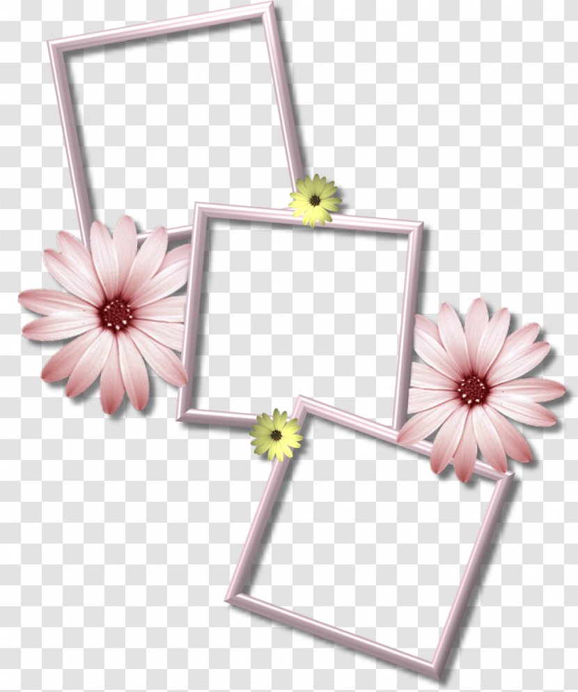 Picture Frames Desktop Wallpaper - Frame Transparent PNG