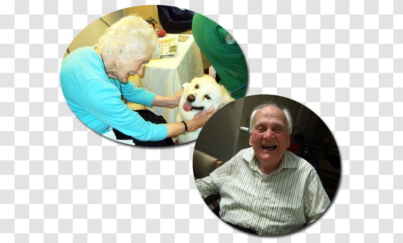 Nursing Home Care Residential Caring For People With Dementia Alzheimer's Disease - Dog Transparent PNG