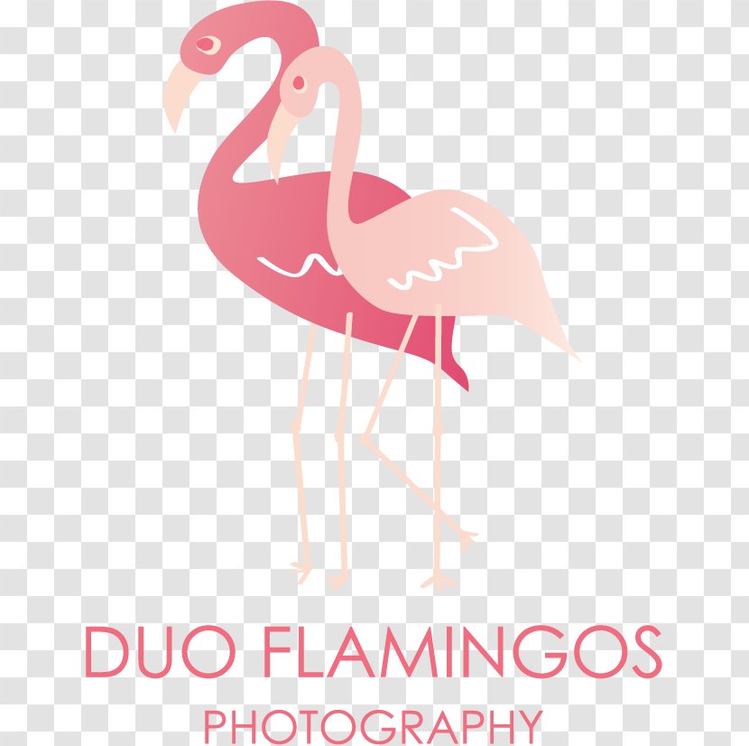 Word Duo Flamingos Photography - Wedding Transparent PNG