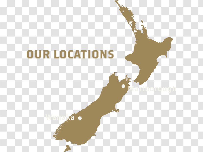 New Zealand Vector Graphics Royalty-free Illustration Image - Drawing - Map Transparent PNG