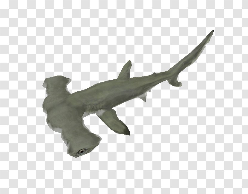 Hammerhead Shark Chondrichthyes Fish Animal Figurine - BABY SHARK Transparent PNG