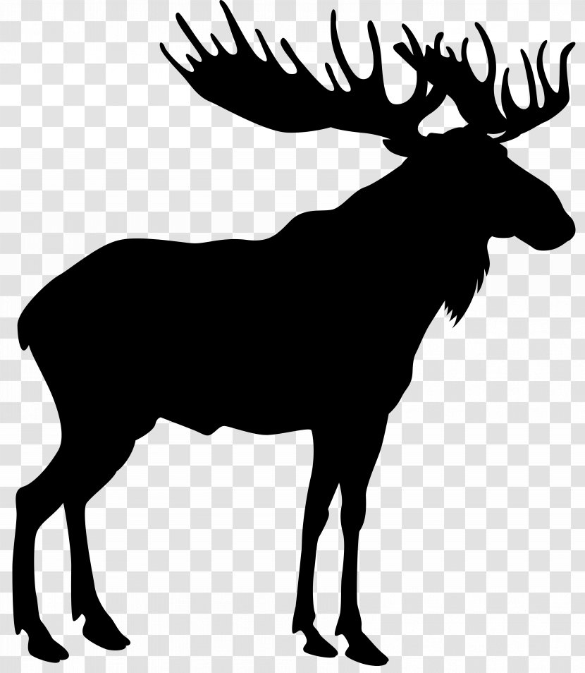 Moose Stock Photography Royalty-free Vector Graphics Illustration - Royaltyfree - Antler Transparent PNG