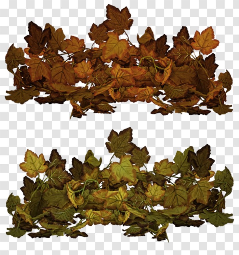 Twig Leaf Branch Autumn - Picture Frames Transparent PNG