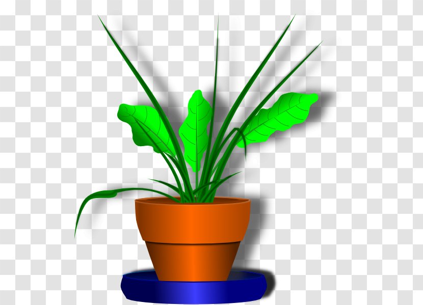 Flowerpot Plant Clip Art - Grass Family - Flower Pot Transparent PNG