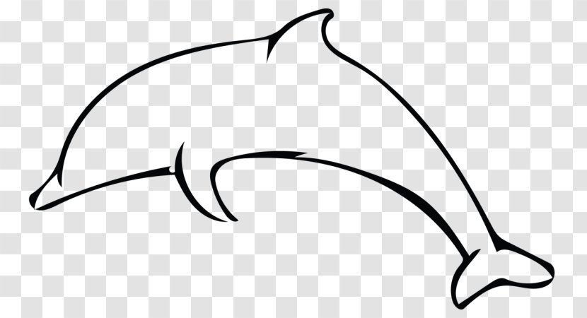 Dolphin Drawing Leaving The Shallows Clip Art - Plant Transparent PNG