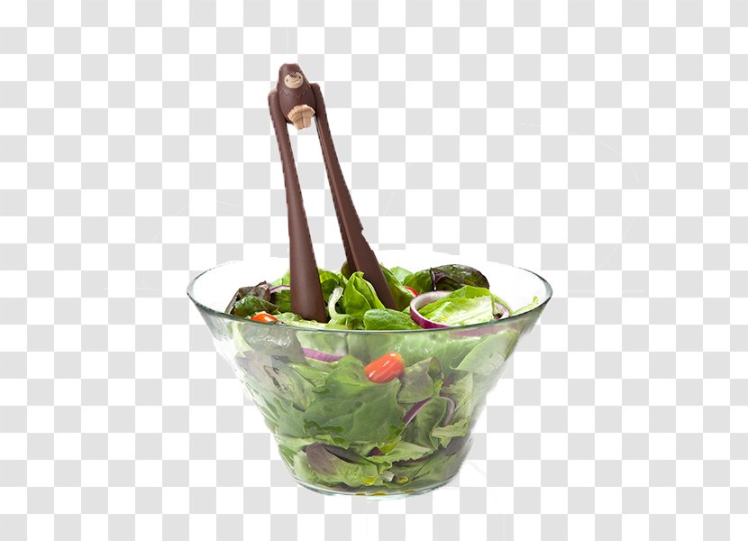 Tongs Salad Leaf Vegetable Food Pliers - Flowerpot Transparent PNG