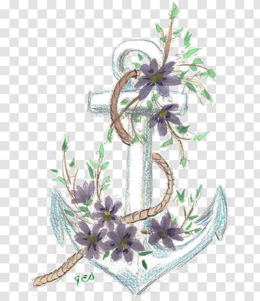 Flowering Plant Lavender Plants - Sea Anchor Transparent PNG