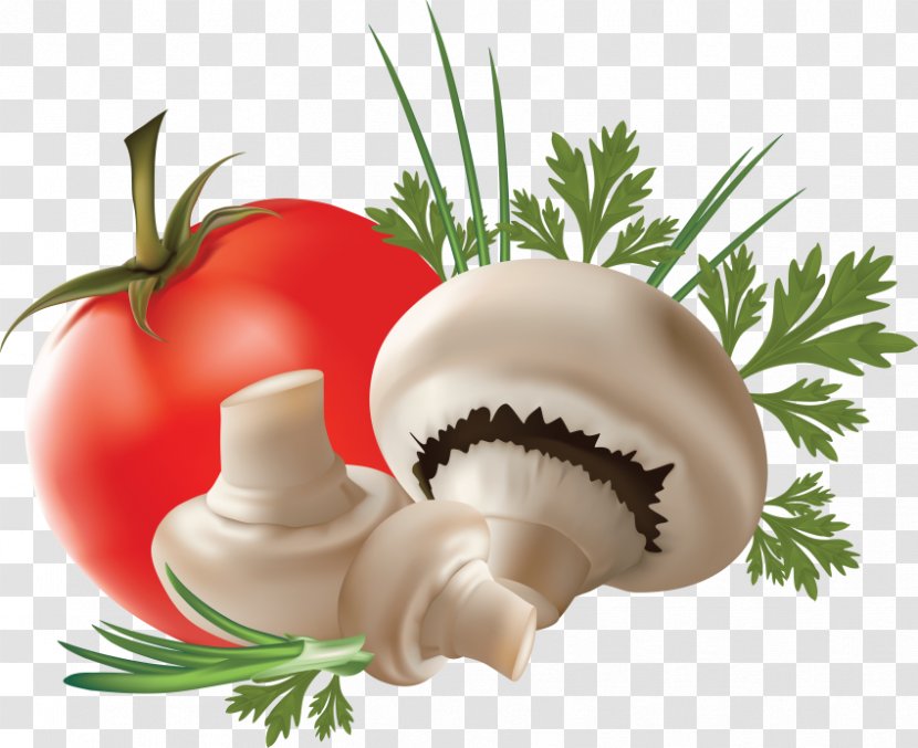 Vector Graphics Image Juice Vegetable - Mushroom Transparent PNG
