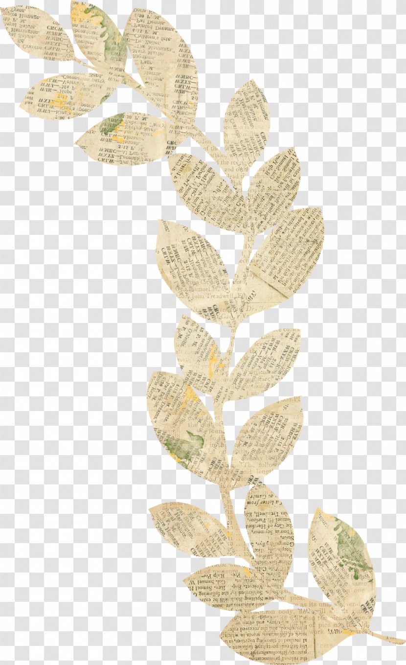Leaf Plant Stem Branching - Red Bean Bread Transparent PNG