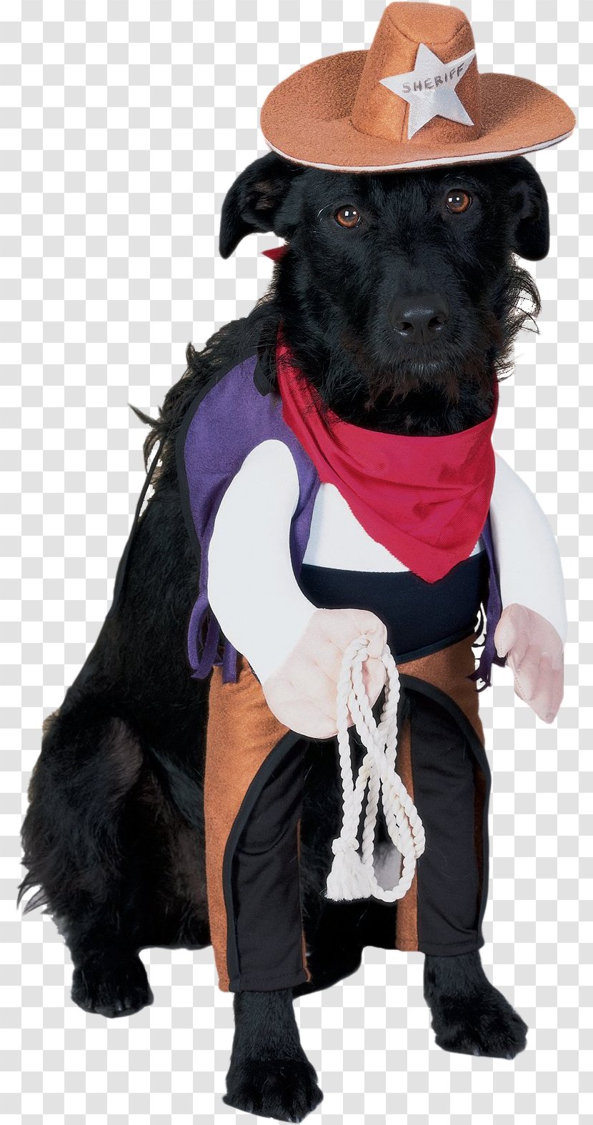 Dog Halloween Costume Party - Cowboy Transparent PNG