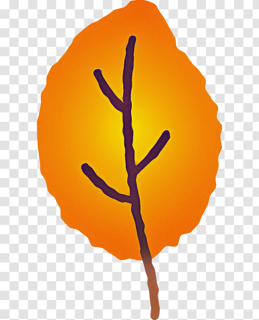 Orange Transparent PNG