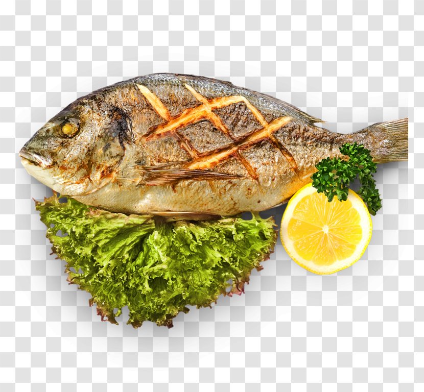 Barbecue Shashlik Gilt-head Bream Fish Dish - Frying Transparent PNG