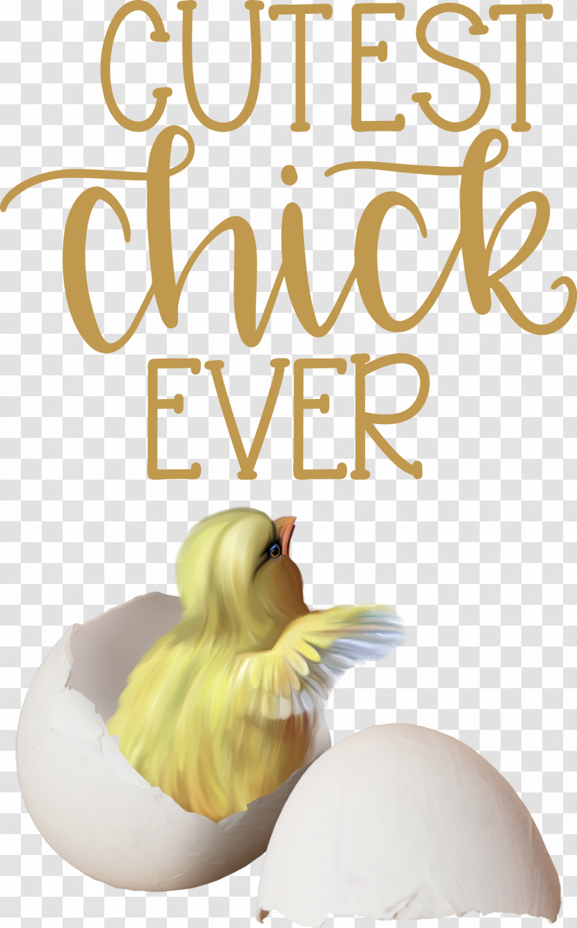 Happy Easter Cutest Chick Ever Transparent PNG