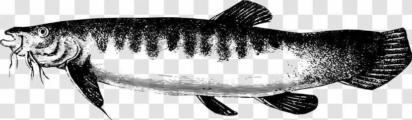 Lake Titicaca Fish Clip Art - Seafood Transparent PNG