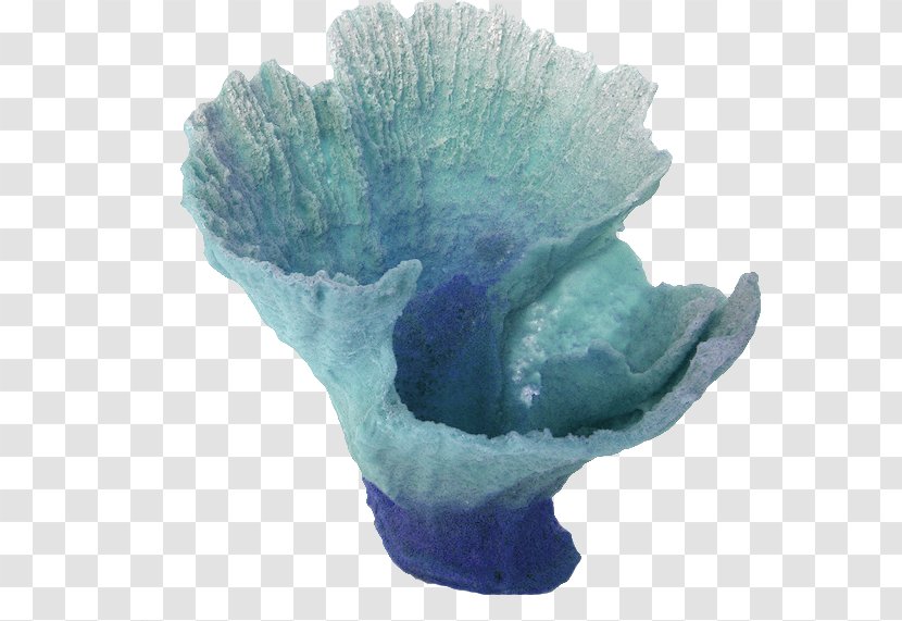 Coral Drawing Blog - Flowerpot Transparent PNG