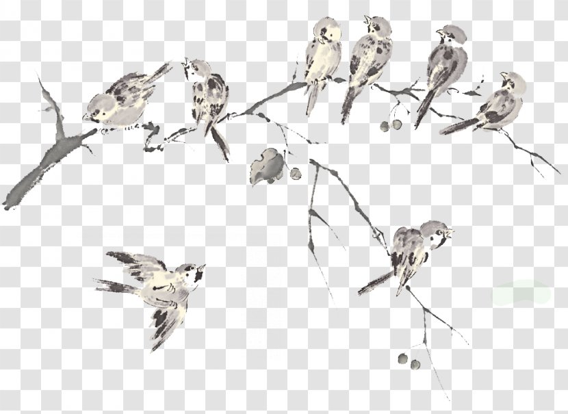 Bird Columbidae Rock Dove Flock Wallpaper - Fauna - Ink Of Birds Tree Background Transparent PNG