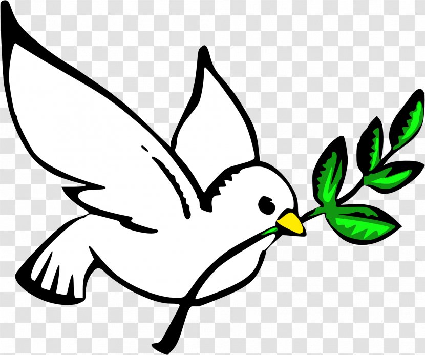 Doves As Symbols Peace Pigeons And Clip Art Drawing - Catholic Dove Transparent PNG
