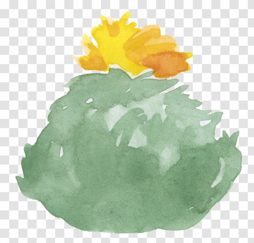 Cactaceae Watercolor Painting Clip Art - Fruit - Cactus Transparent PNG