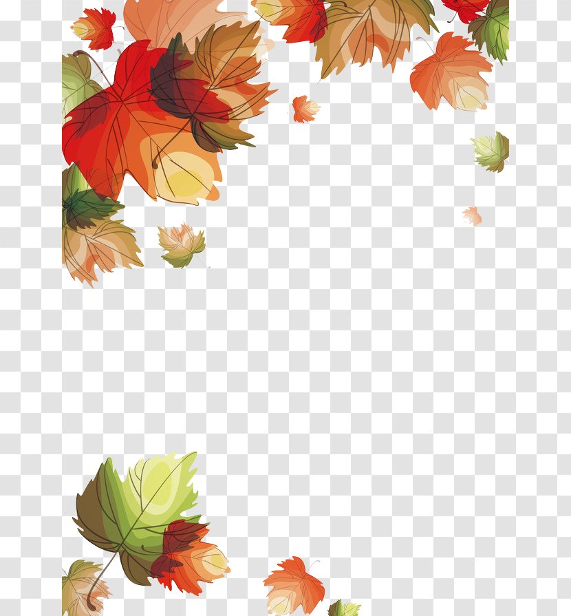Autumn Leaves Euclidean Vector Leaf - Flower Arranging - Maple Falling Transparent PNG