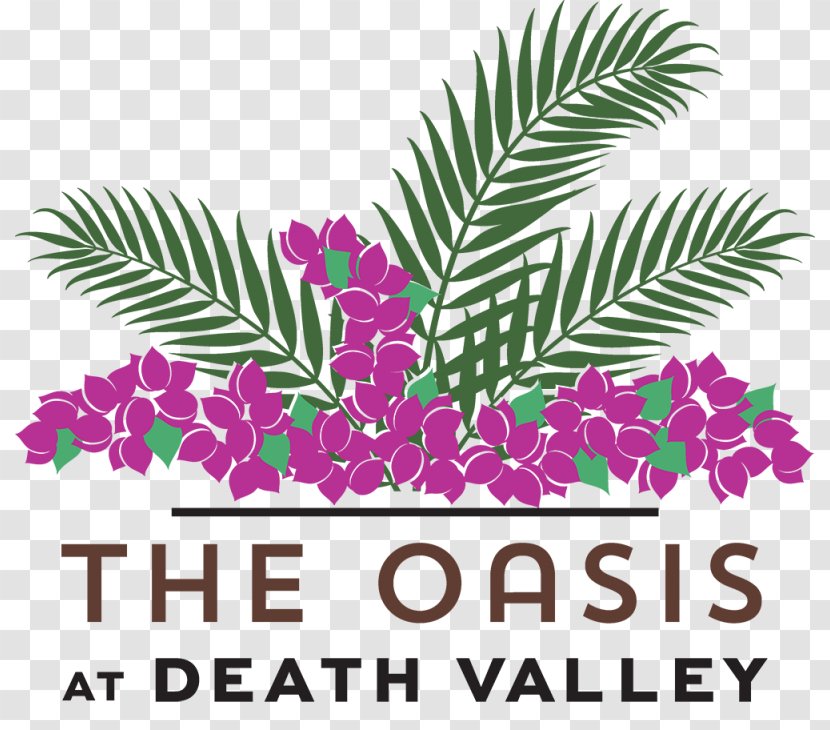 Oasis At Death Valley Furnace Creek Hotel Resort Park - National - Grand Canyon Transparent PNG