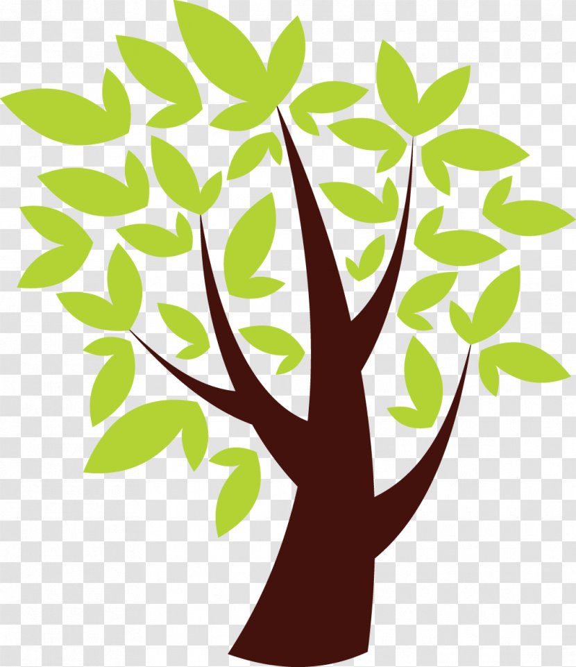 Tree Oak - Watercolor - Cross Cultural Competence Transparent PNG