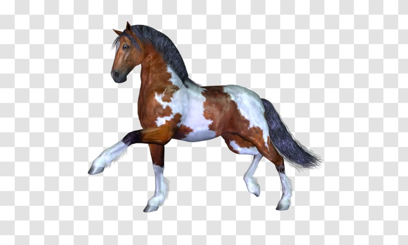 Stallion Mustang Mare Pony Rein - Star Transparent PNG