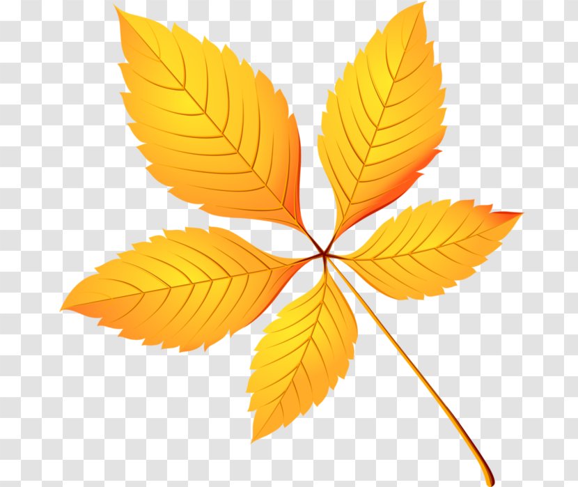 Leaf Autumn Leaves Clip Art Transparent PNG