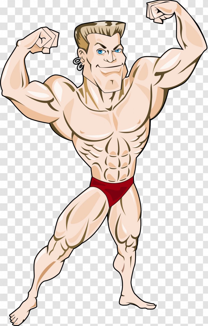 Muscle Tissue Bodybuilding Illustration - Tree - Health And Fitness Coach Transparent PNG