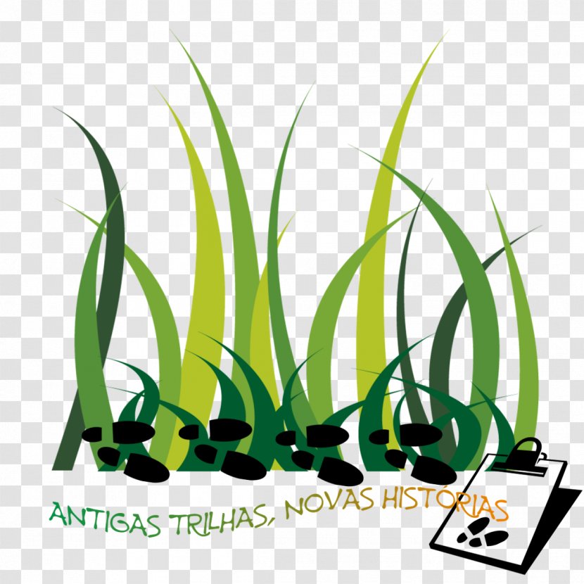 Green Grasses Surgeon Plant Stem Clip Art - Leaf Transparent PNG